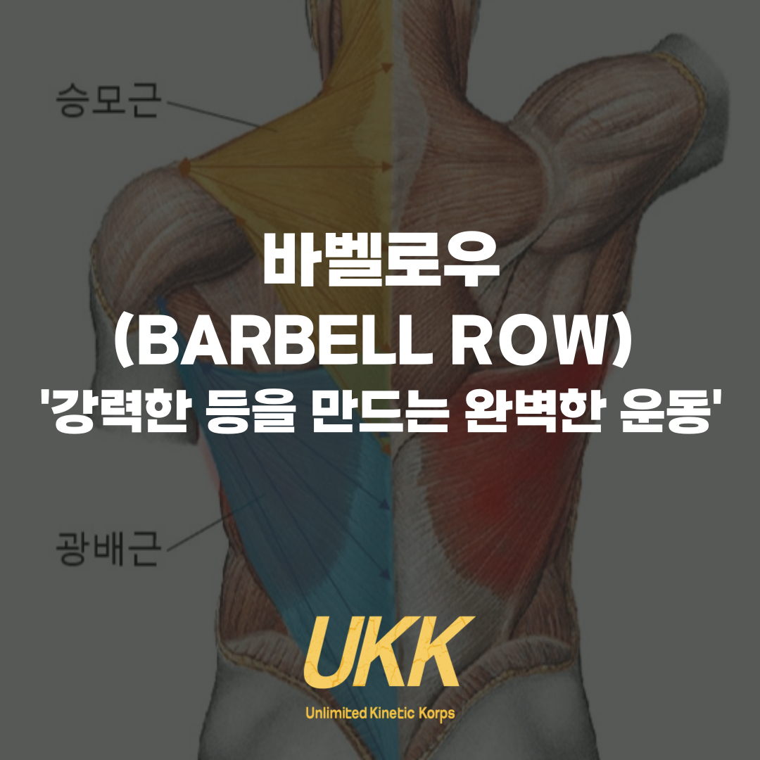 #바벨로우 #등운동 #등근육 #광배근