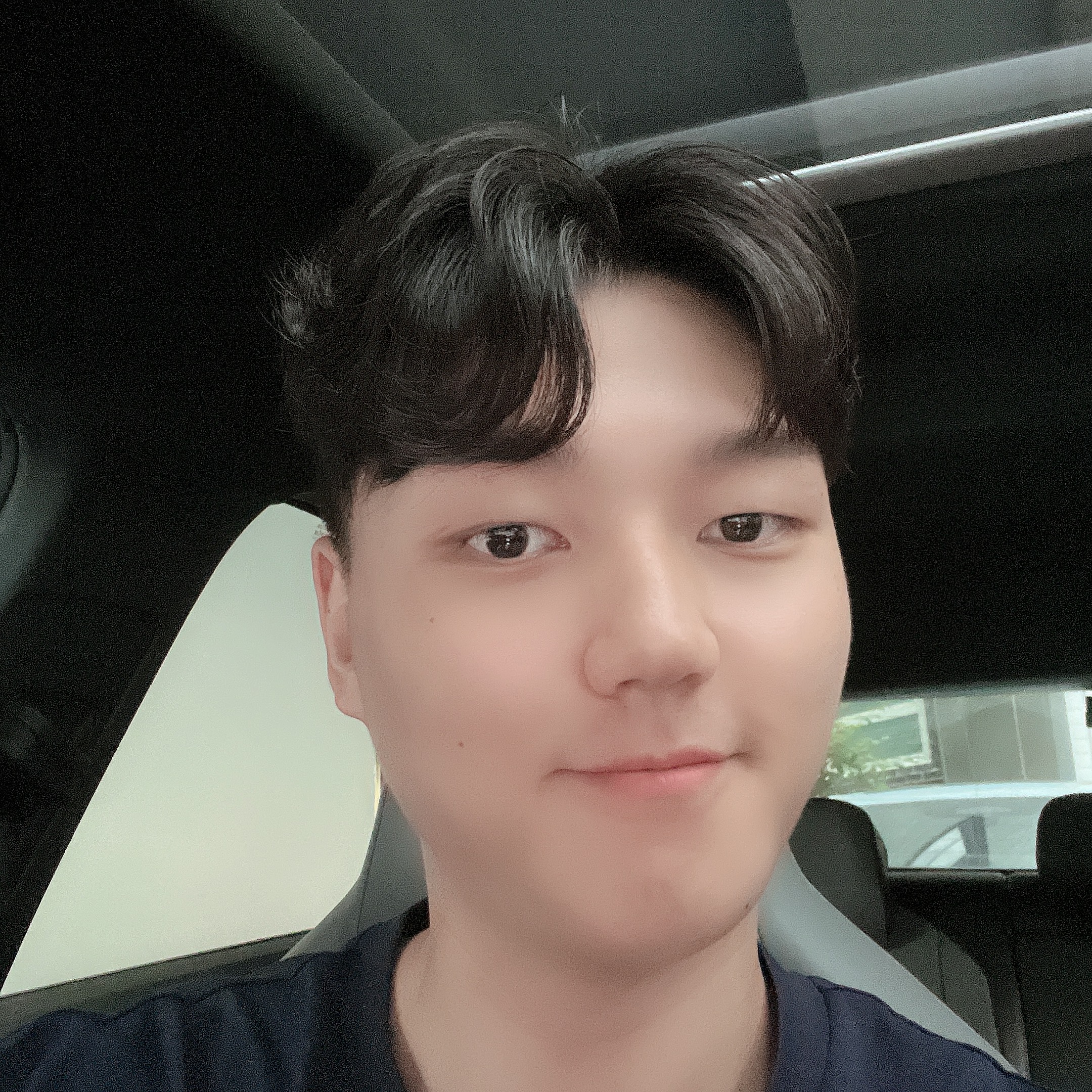 큐레이터