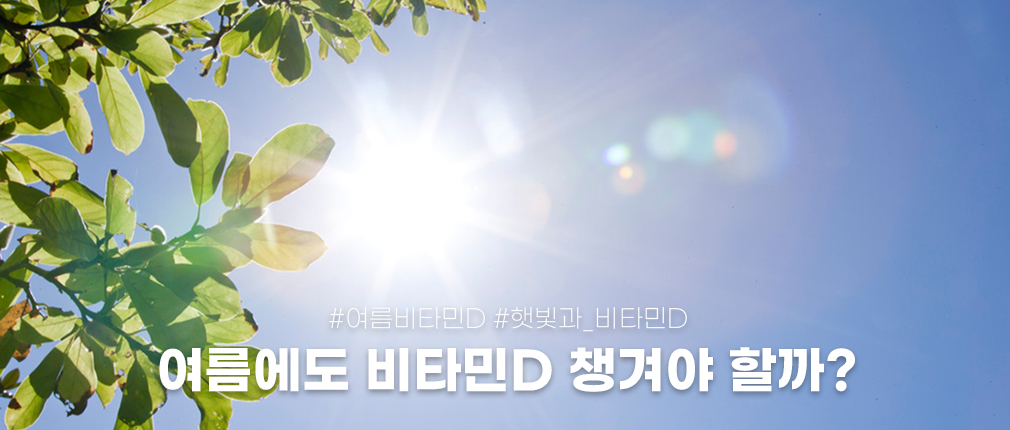 여름에도 비타민D 챙겨야 할까? 다나음과 알아보는 햇빛과 비타민D